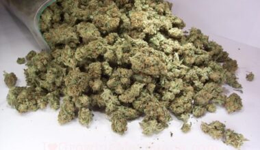 Two men arrested for importing 62 kilos of cannabis from Canada