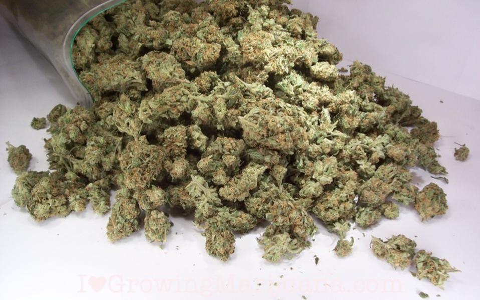 Two men arrested for importing 62 kilos of cannabis from Canada