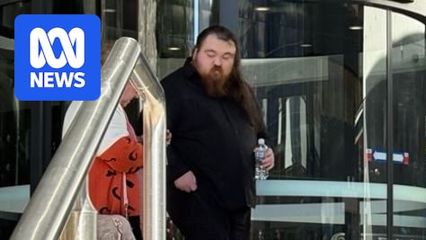 Newcastle man pleads guilty to possessing 34,000 child abuse images and 13 bestiality videos