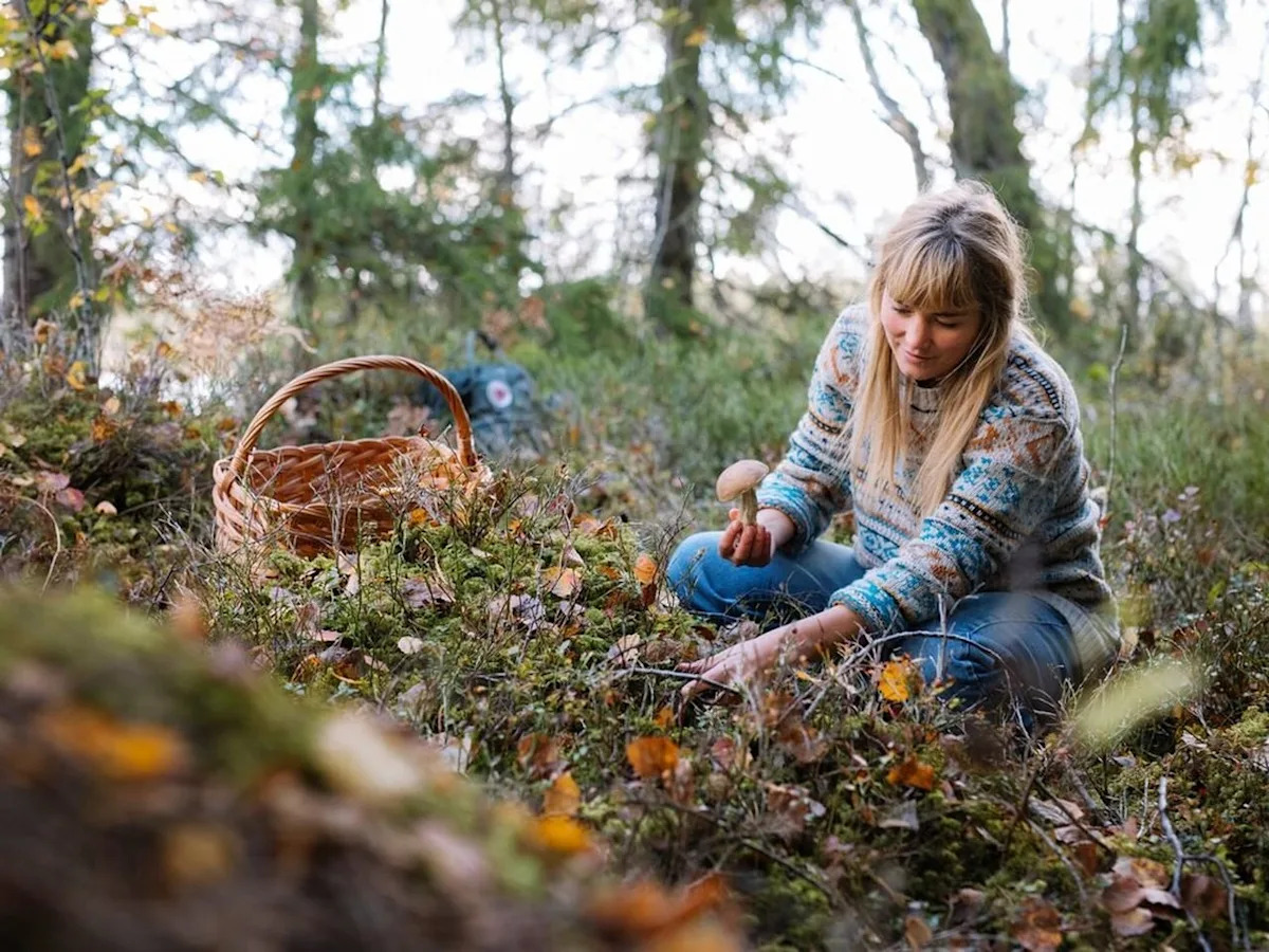 Sweden is leading the way in 'nature prescriptions' and travel-related therapy