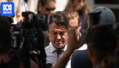 The other legal cases tied to Matt Wright and the fatal egg-collecting chopper crash
