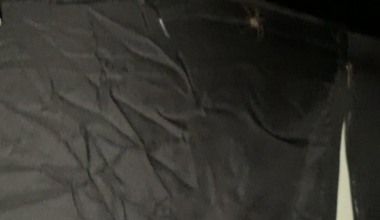 These fuckers are too much for me, second one this week and it broke into my sleeping quarters (I have a zip up bed tent for a reason!!)