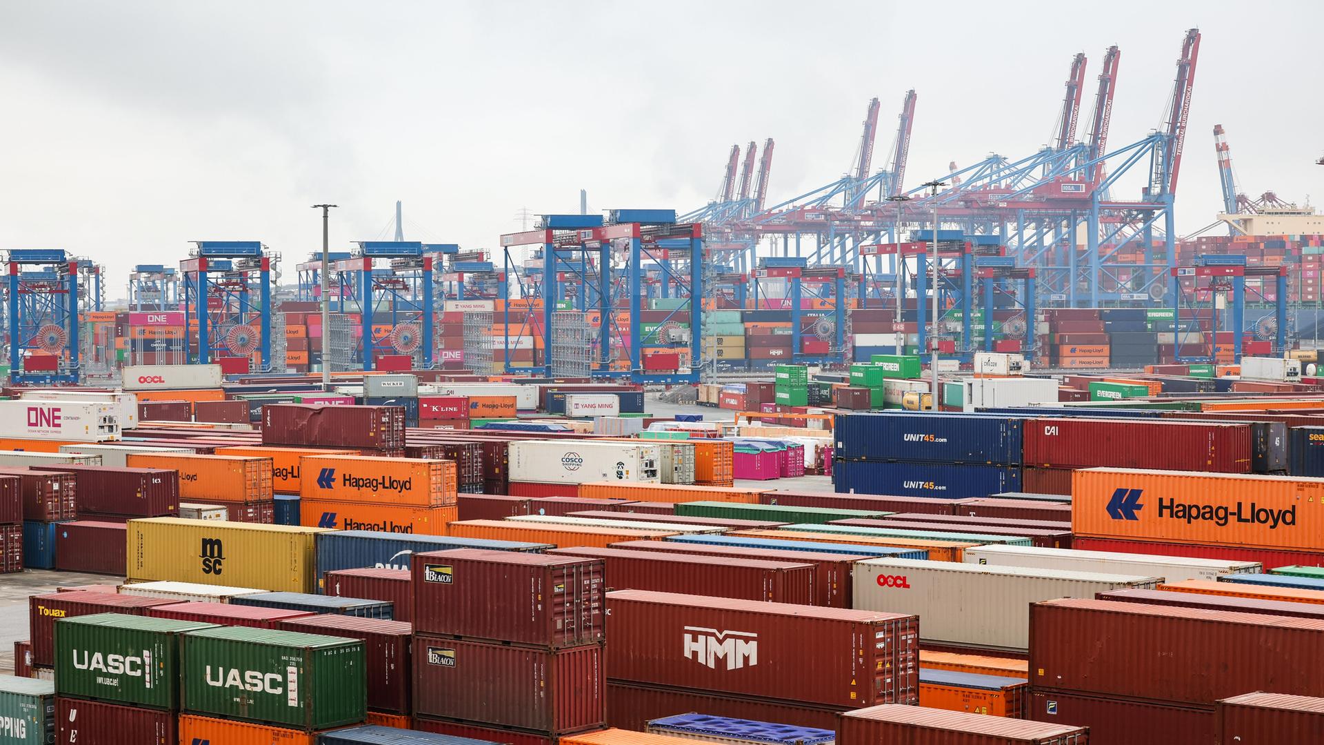 Bunte Schiffscontainer im Hamburger Hafen. Im Hintergrund sind blaue und rote Krähne.