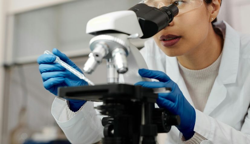 DNA study sheds light on origins of Croatians
