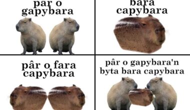 Capybara