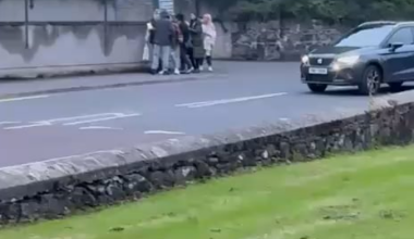 Lisburn Druggies at it again.