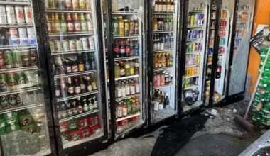 Svenskerne vil kunne straffe 13-årige: Forsker frygter mere svensk kriminalitet på dansk jord