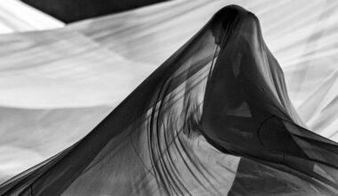 National arts companies employ full-time professional artists for the first time