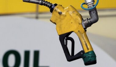 'Each of the five oil majors is controlled by no more than 25 institutional shareholders'