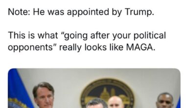 We’re watching our democracy and Constitution get shredded in real time. And the ones doing it? Acting like it’s business casual Friday. America deserves better than this clown show.