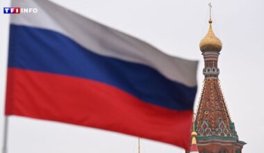 Guerre en Ukraine : l'Otan est "de facto en guerre avec la Russie", affirme le Kremlin