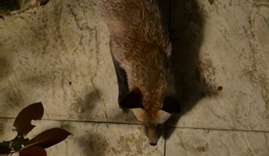 I've just made a friend!