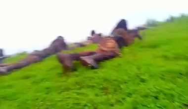 Oromo Liberation Army fighting Ethiopian military in Oromia state (September, 2025)