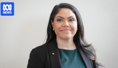 Federal politics live: Julian Leeser apologises for Jacinta Nampijinpa Price's Indian migrant remarks