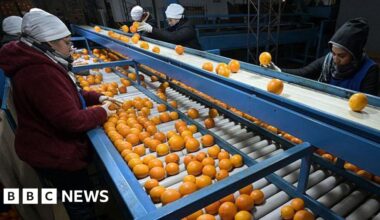 EU to vote on South America trade deal with safeguards for farmers