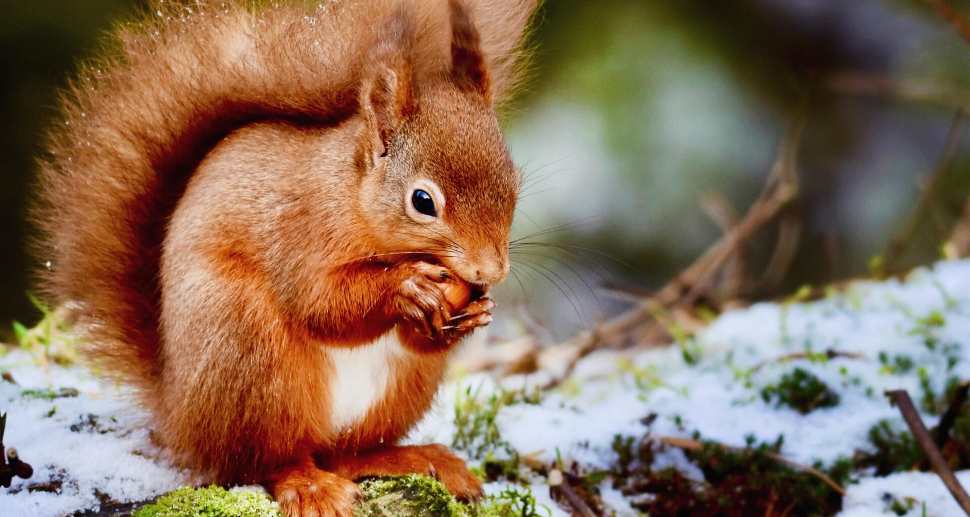“There are two seasons in Scotland: June and Winter”-Billy Connolly