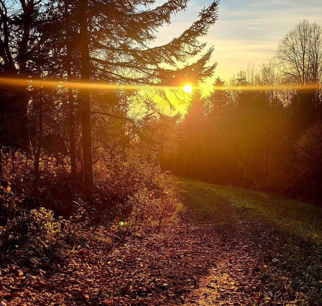 I can’t wait for autumn to arrive again. Many people hate it, but I love it🍂
