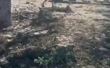 Aftermath footage of a Russian bomb thrown on the civilian population in the village of Yarova in the Donetsk Oblast. They waited for the moment when pensions were being issued. The death toll is more than 20 people, according to the office of President Zelenskyy.