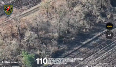 Ukrainian drone swarm targeted a Russian position in the Velyka Novosilka direction. 110th Mechanized Brigade. 22.09.2025