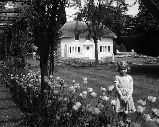 cottage royal lodge