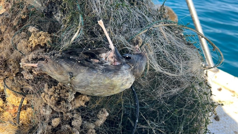 Environmental inspectors seize 400 meters of illegal fishing nets in Issyk-Kul Lake