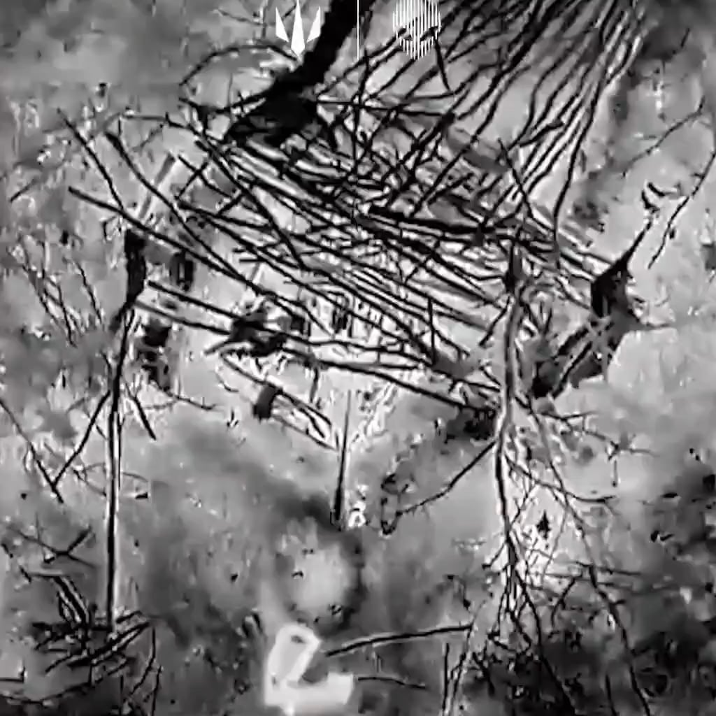 Footage of a drone operator by the Ukrainian "Nemesis" unit "carpet bombing" a Russian position with his UAV.