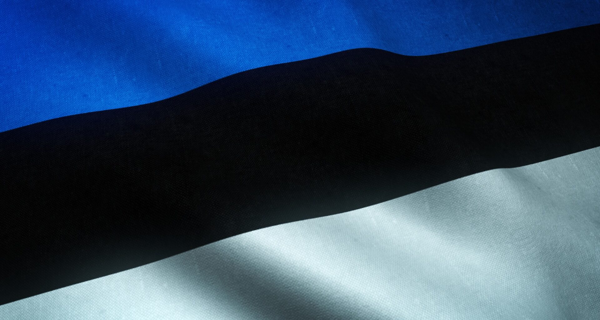 Legal barriers and low interest delay Estonia's AI rollout in schools