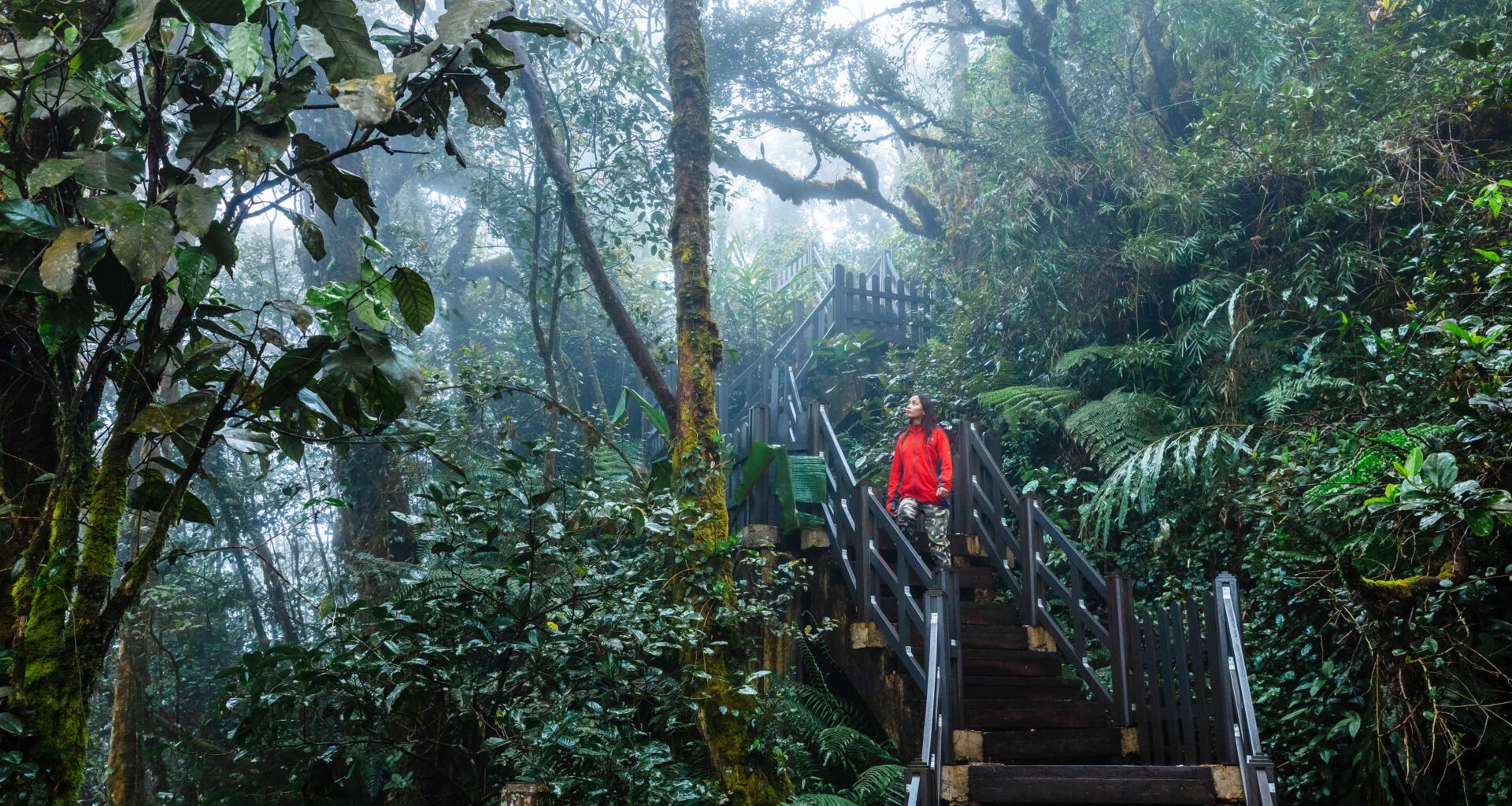 Navigating EUDR: Opportunities and challenges for businesses | EY