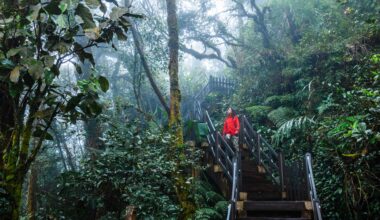 Navigating EUDR: Opportunities and challenges for businesses | EY