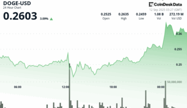 fight, fencing, duel (CoinDesk Archives)