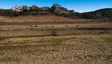 'Biodiversity loss, extreme weather and water scarcity' is Europe's future, report warns