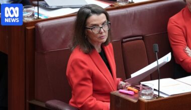 Labor faces Senate showdown over home supports for older Australians