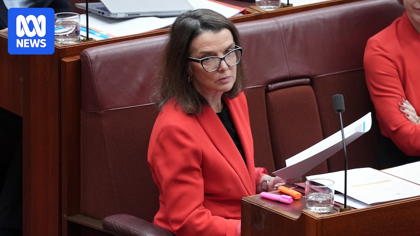 Labor faces Senate showdown over home supports for older Australians
