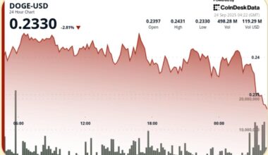DOGE Holds Firm Above $0.24 Support in Choppy Session
