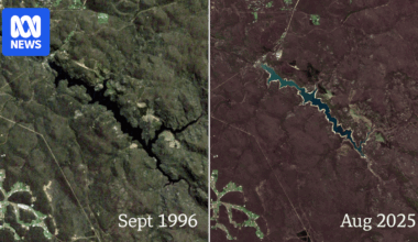Perth had its wettest winter in 30 years. Why aren't its dams full?
