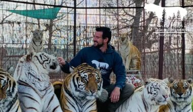 'Tiger King' Star Joe Exotic's Associate Dies After Being Mauled by Tiger