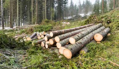 Sweden and Finland ask EU to ease logging limits, warn of economic impact