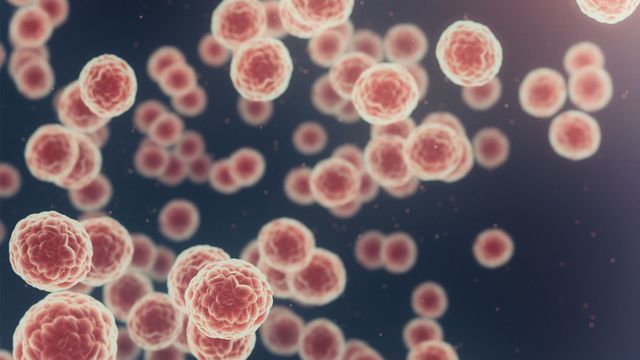 Single-Cell Technique Measures Boron in Tumor Cells