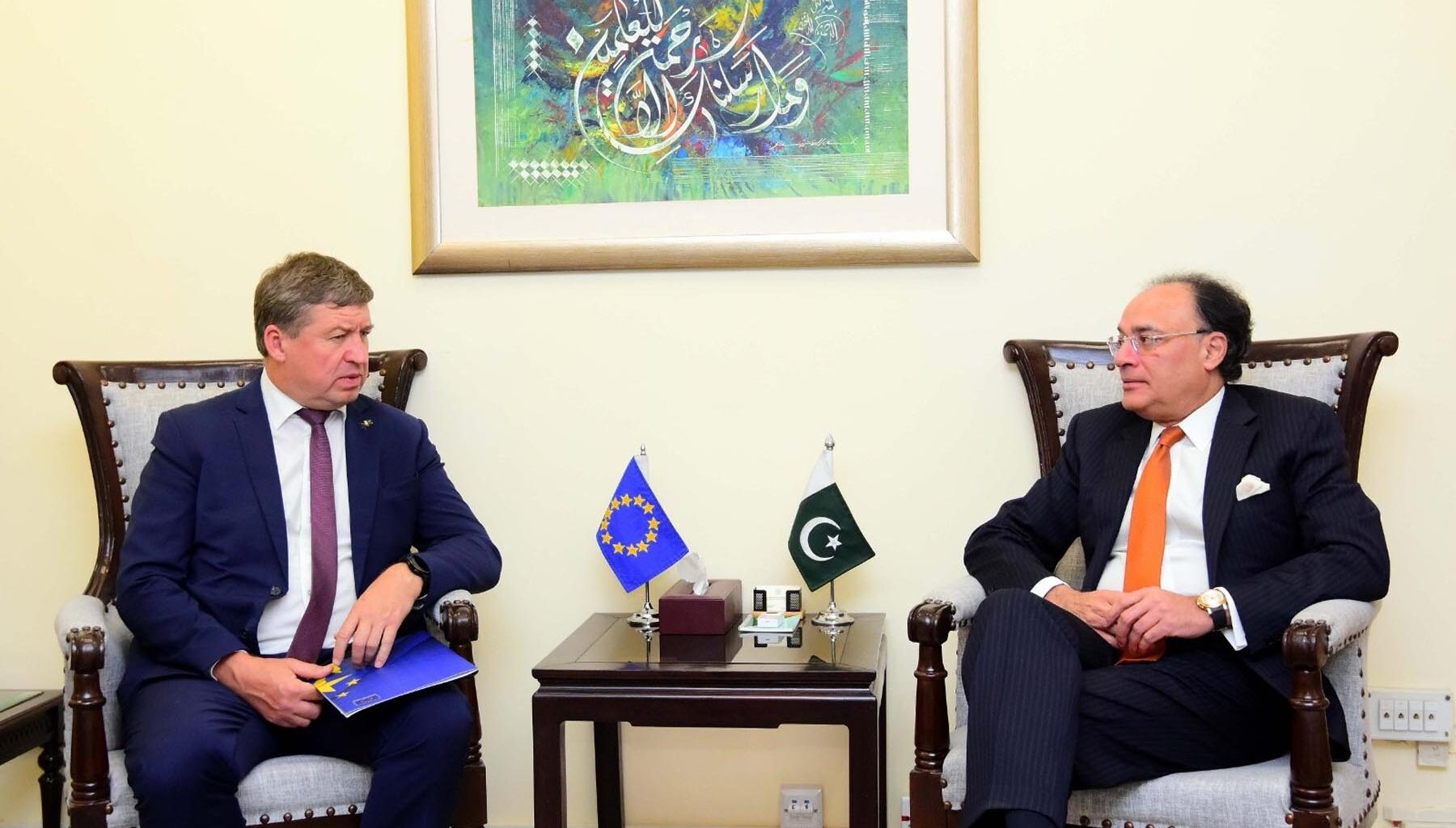 Ambassador of 'European Union' calls on Finance Minister
