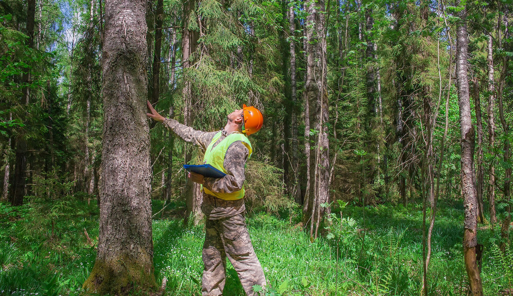Corps to careers: Expanding career opportunities for young adults involved in service and conservation programs
