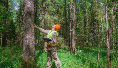 Corps to careers: Expanding career opportunities for young adults involved in service and conservation programs