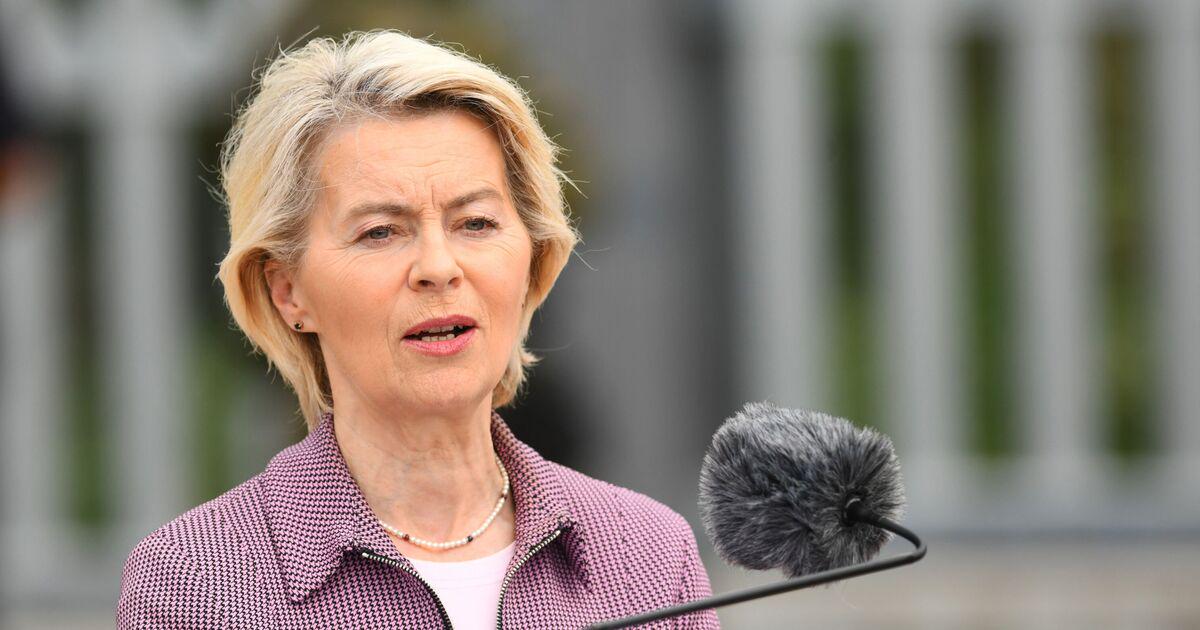 European Union President Ursula von der Leyen's plane hit by suspected Russian jamming technology while in-flight