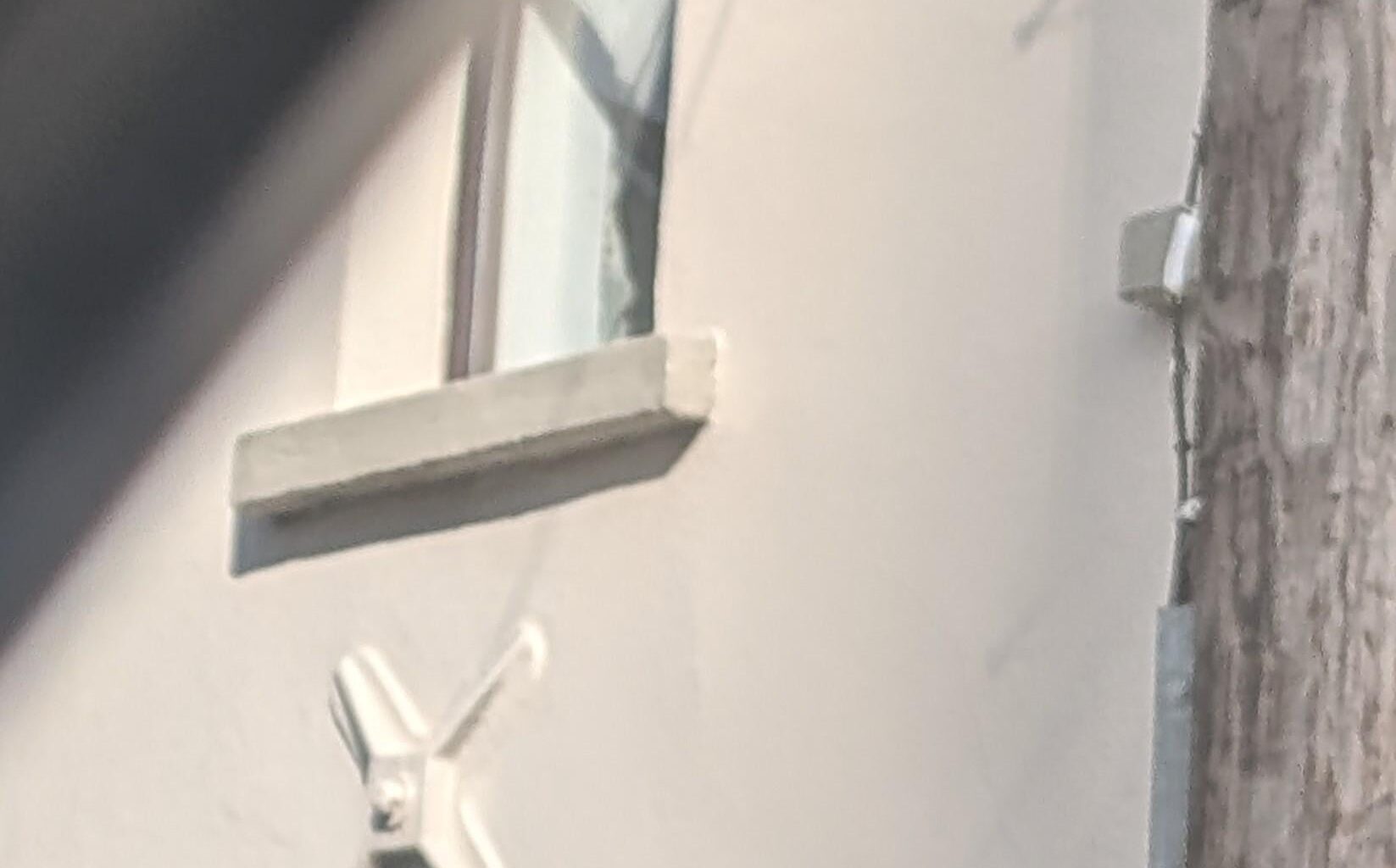 Anyone know what this is? Infront of some houses, I've tried Google image with nothing