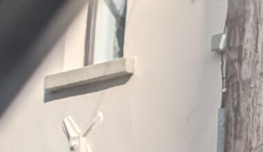 Anyone know what this is? Infront of some houses, I've tried Google image with nothing