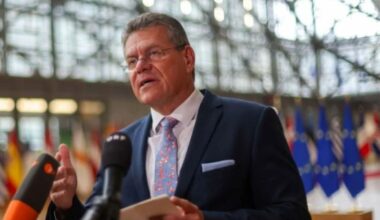EU automakers will gain 500-600 mn euros on trade deal, claims EU Trade Commissioner, Maros Sefcovic