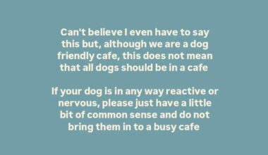 Coming from the same café that regularly posts videos of dogs sitting all over their furniture. Could the tides be changing? So tired of being unable to eat or drink anywhere without owners and their uncontrollable dogs near my food
