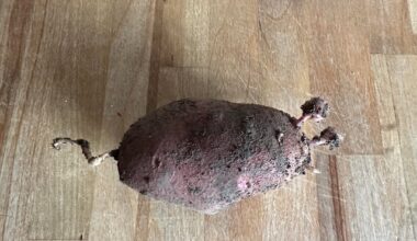 Lustige Namen für meine Kartoffel 😅