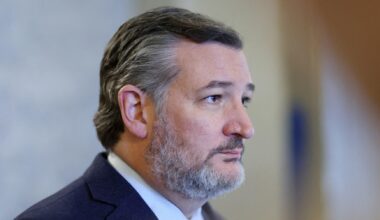 Ted Cruz breaks with fellow Republicans and condemns government threats against US broadcasters