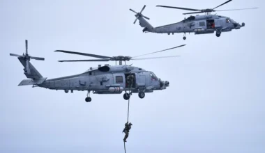 Nato-Militärmanöver in Grönland | Journal21