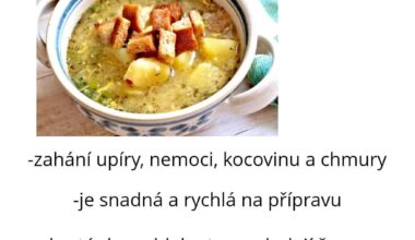 Vítejte u třetí dílu pořadu kde skládám chvalozpěvy na polévky. Dneska česnečka.